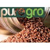 Puregro Whole Linseed 300g (PACK OF 1)| Brown Linseed |