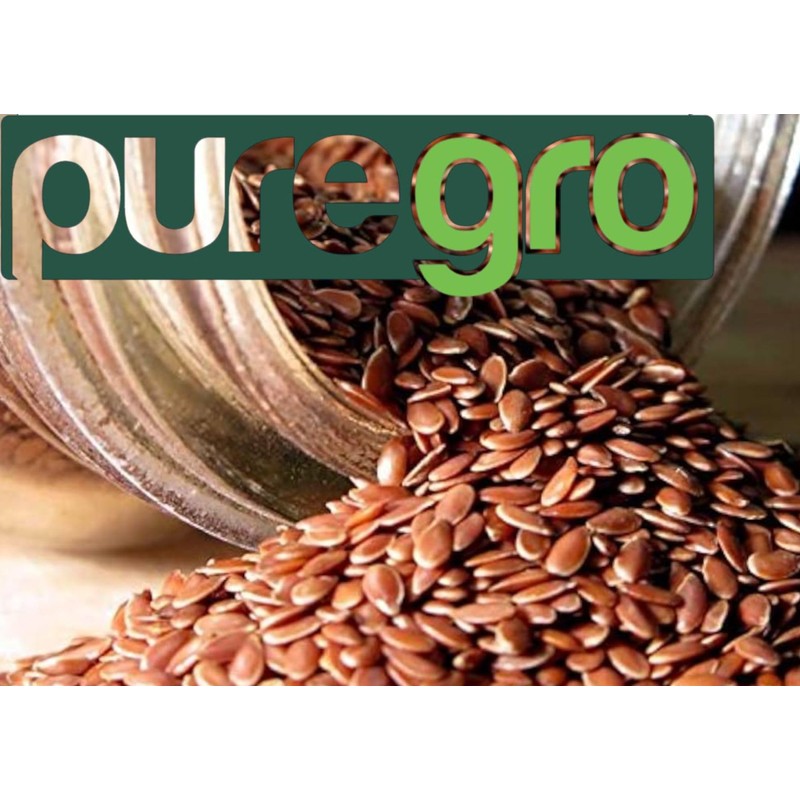 Puregro Whole Linseed 300g (PACK OF 1)| Brown Linseed |