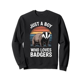 Just a Boy Who Loves Badgers Vintage Sunset Boys Kids Badger Sweatshirt