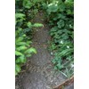 Esschert Design Stepping Stone, Classic
