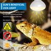 SCNNC Reptile Heat Lamp Basking Spot 100 W E27 R80
