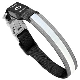 PetIsay Dog Light up Collar with Metal Buckle - Ultimate Reflective LED Dog Collar Rechargeable/Waterproof - Glow in The Dark Dog Collars for Night Walking, Camping, Foggy Weather(White,Small)
