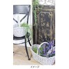 Murataya Sangyo Willow Basket Small Gray 3632 Width 7.9 x