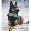 DOGWONG Hemp Cotton Dog Collar with Bow Green Pet Collar