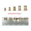 192 Pcs Rivet Nuts Kit,Threaded Insert Nut Riveter Set, Zinc