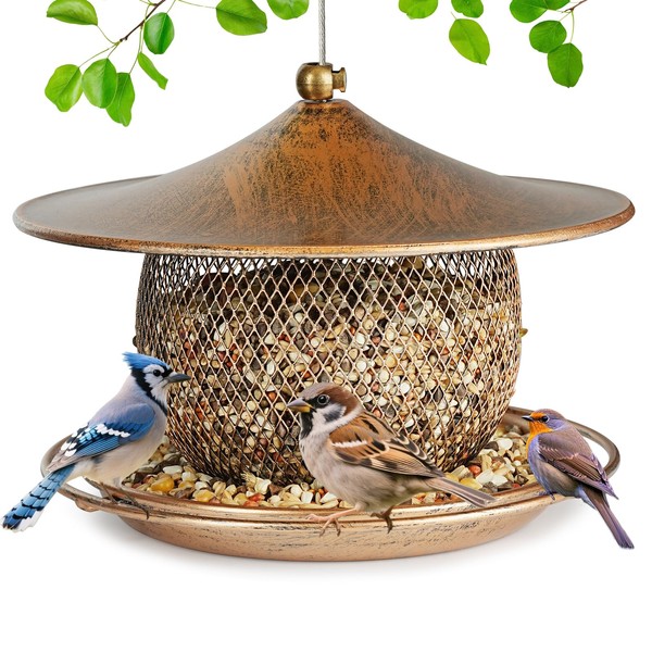 LBTING Bird Feeder for Outside, Squirrel Proof Wild Bird Feeder,