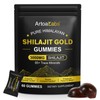Himalayan Shilajit Gummies 60 Count – Pure Gold Shilajit with
