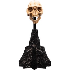 Weta Workshop Lord of the Rings Mini Statue Skull of a Moria Orc 13 cm
