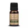 Pures 퓨어스 유기농 로즈 에센셜오일 10ml Pureus Organic Rose Essential