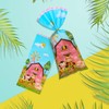 50 PCS Farm Animal Cellophane Treat Bags Farmhouse Gift Bags