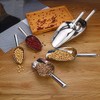 Stainless Steel Ice Scooper, Small Metal Food Candy Scoop for