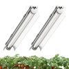 Vshape T8 Grow Light for Indoor Plants, 2FT, 24W, 5000K,