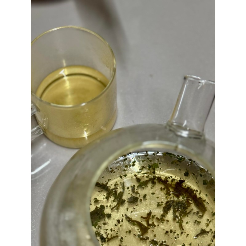 Premium STGFOP Grade Green Tea eco-friendly Box - Flavour: Moringa,