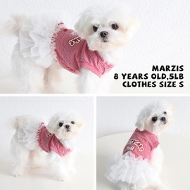 LyssKMK Cherry Pattern Dog Dress Puppy Sleeveless Shirt Tutu Skirt Dog Summer Dress with Bowknot Pet Summer Costume Outfits for Small Medium Dogs (Cherry Red) S