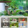 LONA Bird Feeders for Outdoors 2 Pack, Tube Birds Feeder