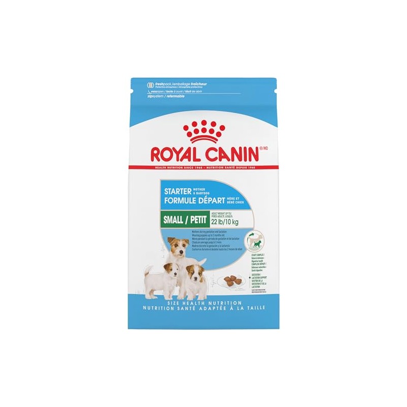 ROYAL CANIN Croquetas para Hembras, Mini Starter Mother & Baby