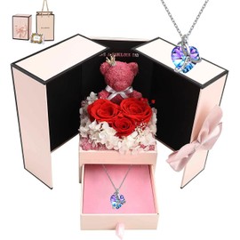 Amazleer Preserved Rose Moss Bear Gifts for Women with Necklace for Mom Grandma Birthday Christmas Valentines Mothers Day Anniversary Unique Romantic Jewelry Gifts for Her Wife Girlfriend Daughter