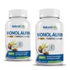 Natural Cure Labs Elysine Monolaurin Effectiveness 600mg, 100 tablets / 내츄럴큐어랩스 엘라이신 모노라우린 효능 600mg, 100정