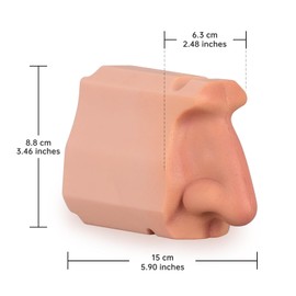 Ultrassist Human Nasal Cavity Anatomy Model - Anatomical Medical Model for Nasal Examination Practise, Human Nasal Model for Medical Teaching, Scientific Research and Display