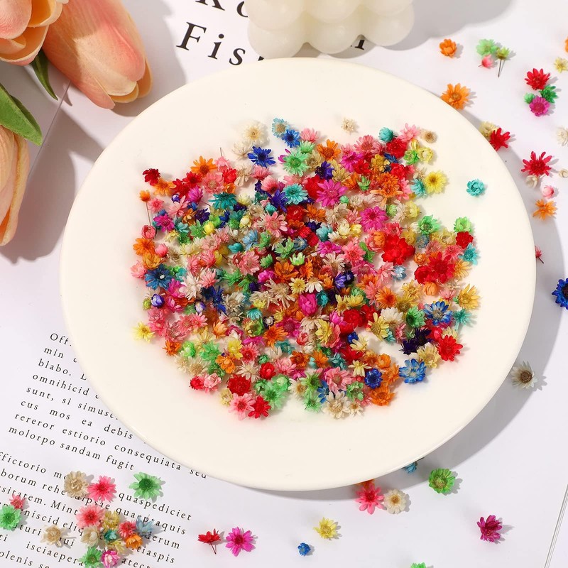 Neiang Dried Flowers for Resin Use, 400 Pieces Pressed Flowers,