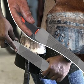 GLOGLOW 8 Inch Horse Hoof File, Double Sided Rasp Hoof File Carbon Steel Farrier Tools with Rubber Handle for for Horse Goat Cow Donkey Animal Hooves