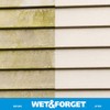 Wet & Forget Outdoor Moss, Mold, Mildew, & Algae Stain