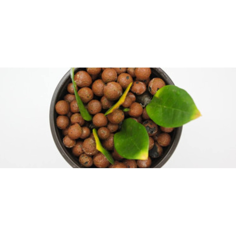 UK GROW Clay Pebbles 1L hydroponic Growing Substrate soil addative