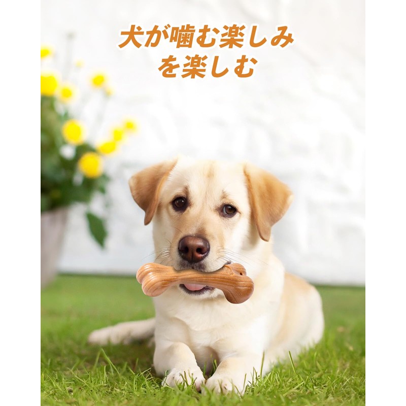 VISKS Dog Toy, Made of Pine Fiber, Durable Deer Antler