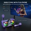 Karaoke Machine for Adults and Kids with 2 UHF Wireless