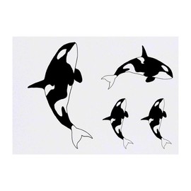 4 x 'Killer Whale' Temporary Tattoos - Water Resistant, Skin-Safe, Non-Toxic Transfers, Mixed Sizes (TO00001553)