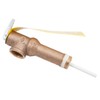 Reliance 9002403015 3/4" 3" Shank Brass Temperature & Pressure Relief