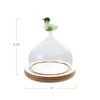 Creative Co-Op Glass Cloche with Wood Base and Duck Topper,