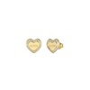 Guess Amami JUBE04035JWYGT-U Earrings Stainless Steel, Stainless Steel