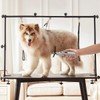 IVEKEN Dog Nail Grinder Bits for Dog and Cat Pet