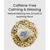 EZR Leaf Mint & Chamomile Herbal Tea 20 Pyramid Tea