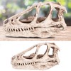 Resin Dinosaur Skull Model Simulated Animal Skeleton Home Office Decor