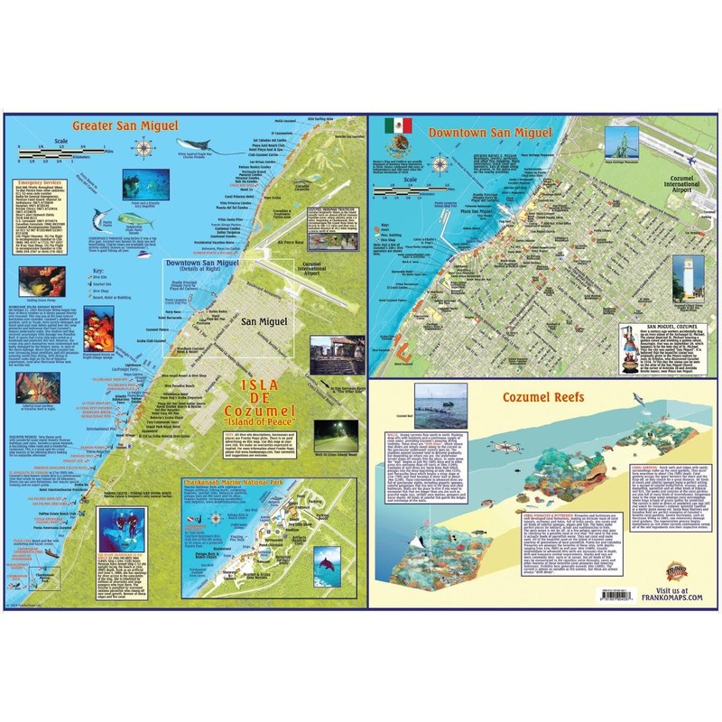 Franko Maps Cozumel Laminated Full Color Travel Wall Map