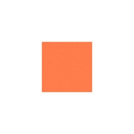 Rosco Roscolux Mayan Sun, 20x24" Color Effects Lighting Filter