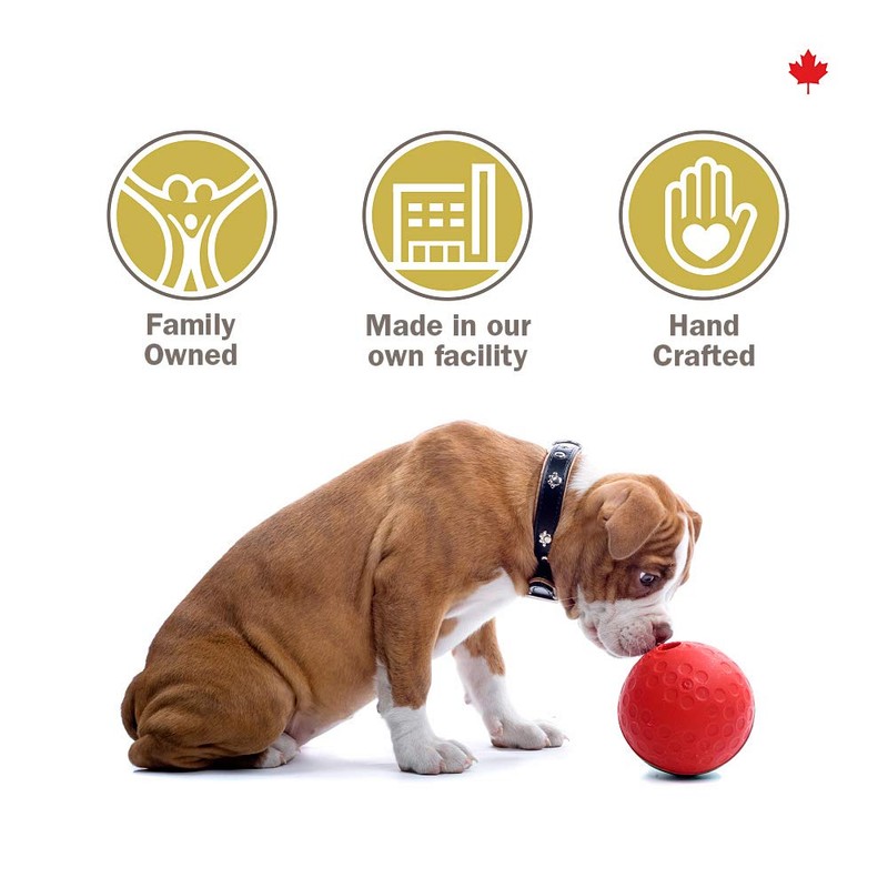 Crumps' Naturals Dog Treat - Mini Trainers