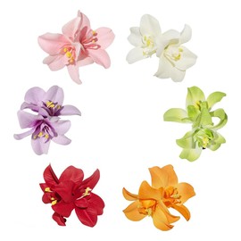 6 Colors Artificial Flower Hair Clips, Bohemian Flower Hairpin Hawaiian Hairpin for Seaside Holiday, Bridal Hair Bobby Pins Headwear for Women (Multicolour)