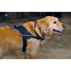 DT Fun Works Harness, Seizure Support Dog, Black With Reflective