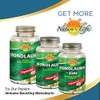 Health From The Sun, The Total EFA Maximum Omega 3-6-9,