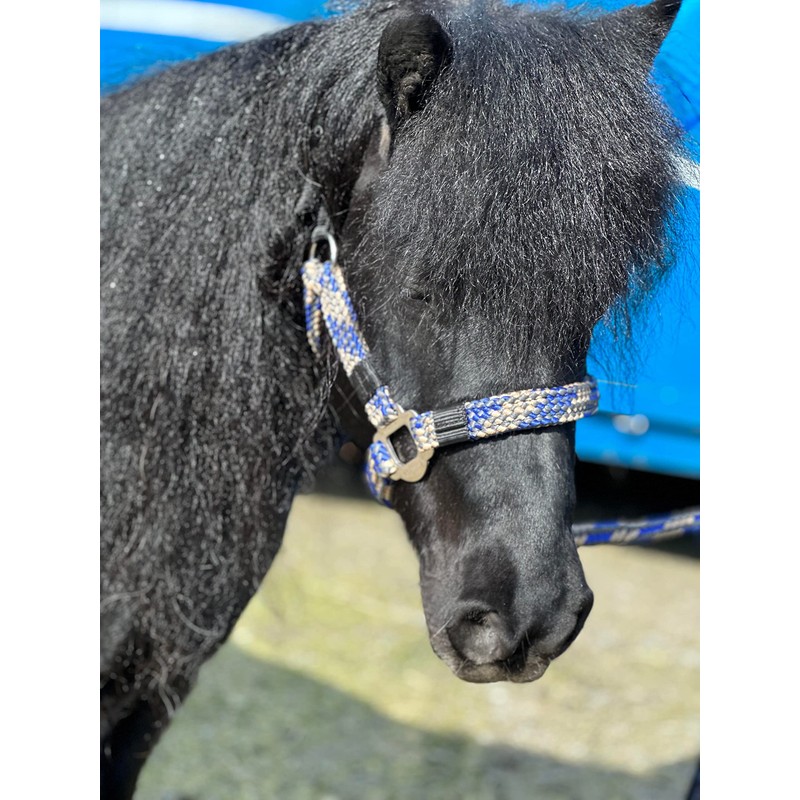 Equipride Braided Headcollar Lead Rope Set Size Full-Shetland (Pony, Royal