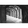 Rollei Superpan Black and White Negative Film | 35mm |