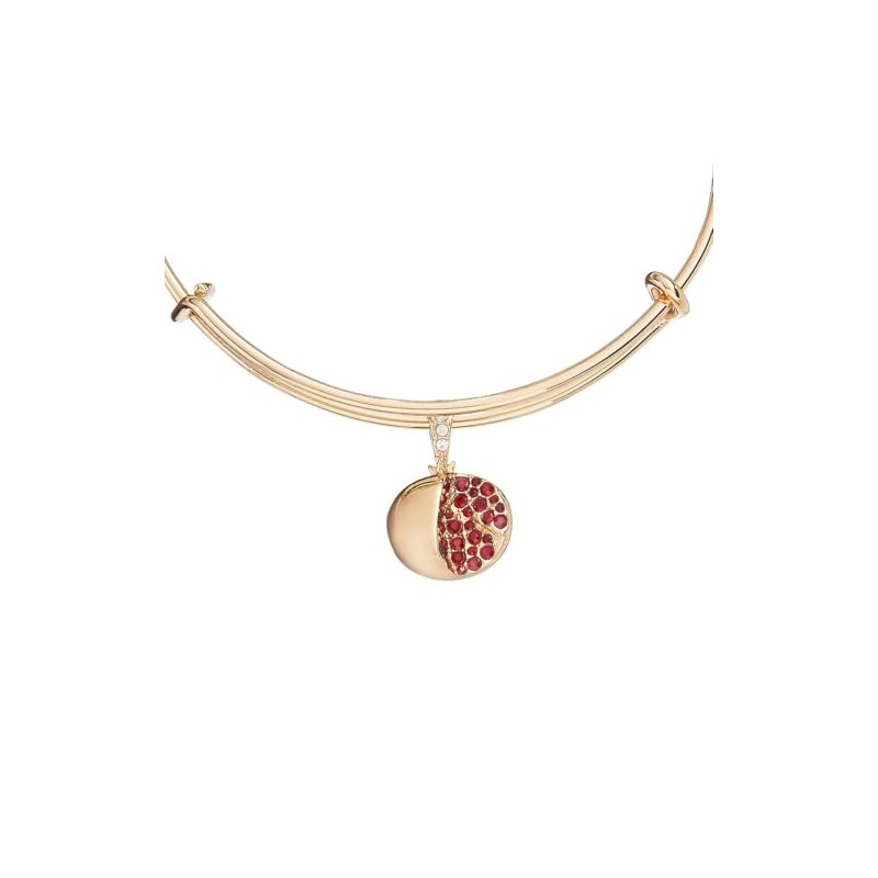 Alex and Ani Pomegranate Bangle