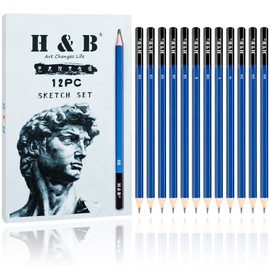 H & B 12 PCS Pencil Drawing Kit, H-4H, F, HB, B-6B Graphite and Charcoal Sketch Pencil Set for Beginners, Professional Artists