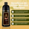 Shampoo Tinte Cubre Canas Natural Jengibre Sin Caja 3pz Full