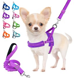 Lukovee Dog Harness and Leash Set, Soft Padded Adjustable Reflective Vest With 4ft Lightweight Anti-Twist Leash for Small Dogs (Small, Purple)