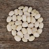 Henderson Bush Lima Bean - 50 Seeds - Heirloom White