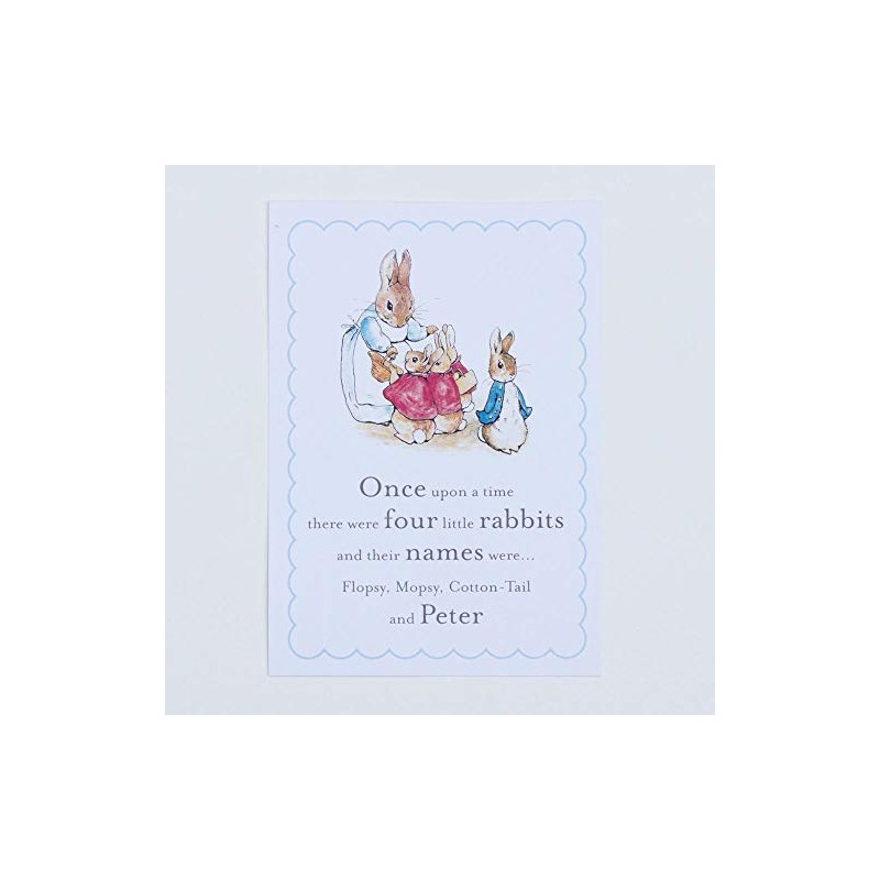 Peter Rabbit A5 'Once upon a time there were Four
